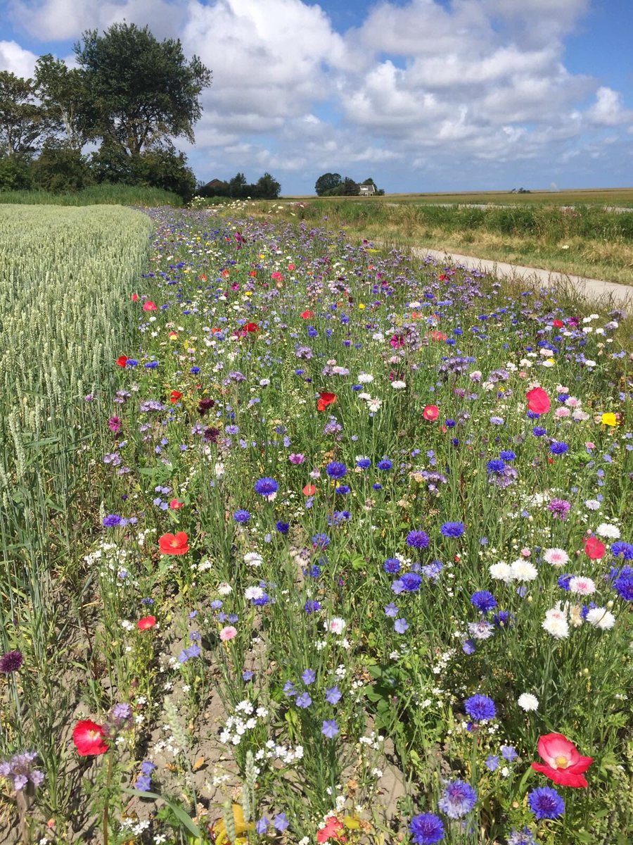 Wy winskje elts in noflike fakânsjetiid. It FNP Partijhûs en de fraksjekeamer op it Provinsjehûs binne 3 septimber wer iepen.