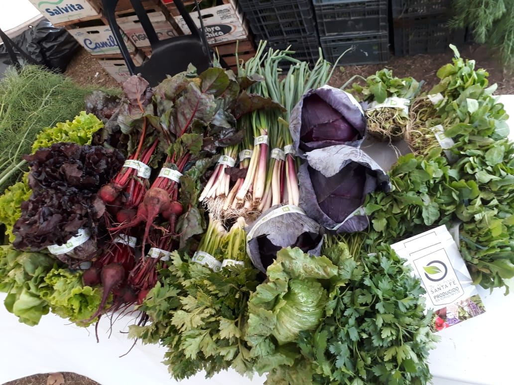 maucasella's tweet photo. Promovemos la producción agroecológica con más de 100 productores en 500 has. Integrando la cadena de comercialización.
Tambien el acceso a energía a través del Fondo de electrificación rural y las energías renovables en más de 100 escuelas rurales. @SecEEnergiaSF https://t.co/gMeznWoguq