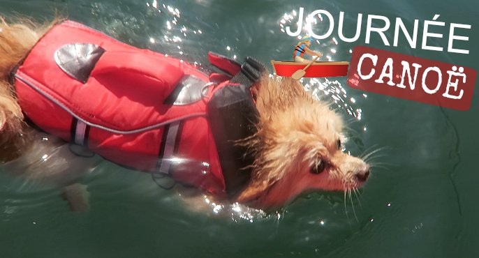 Nouveau vlog en ligne ! 🚣‍♀️

 swll.to/r1k4z