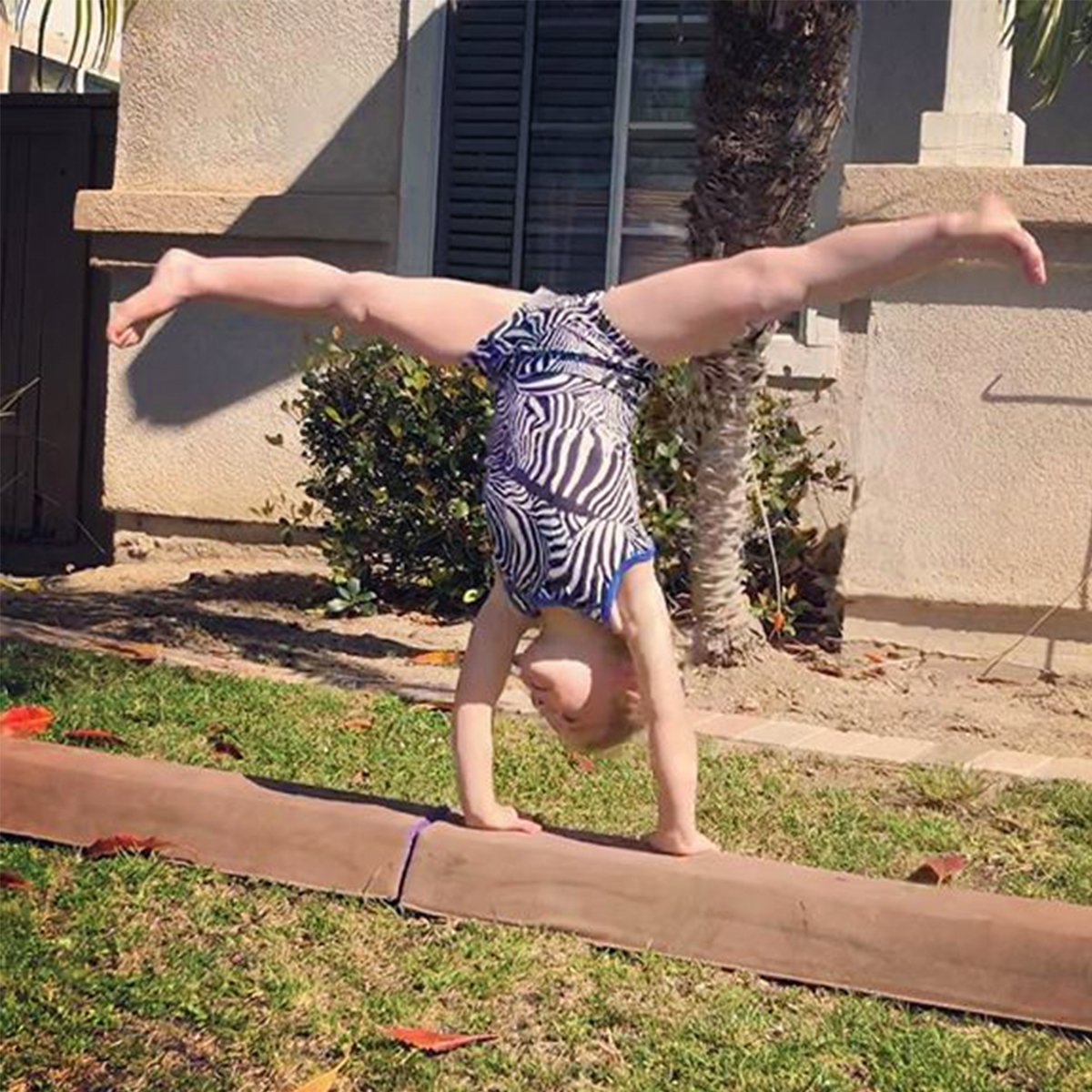 PlumLeos's tweet photo. Za-Za-Zebra ⚫ ⚪ #PlumPracticewear #PlumLove #PlumLeos #PlumGirls #PracticePerfect #PlumPositivity #Inspire #Gymnast #gymnastics https://t.co/yGMqjl7kMM