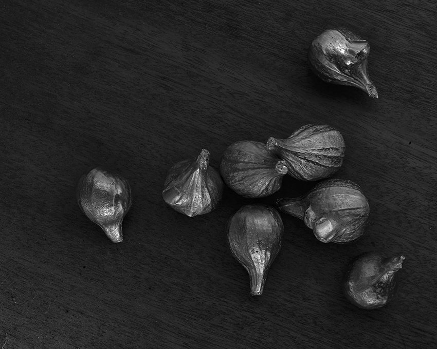 Some (more or less literal) fruit from an inspiring week as resident artist at Hogchester Arts, stunning Dorset countryside and rewarding company. Thanks <a href="/ChantalPowellx/">Chantal Powell</a> for the invitation. Check out the open call for 2019: bit.ly/2uGfaAu