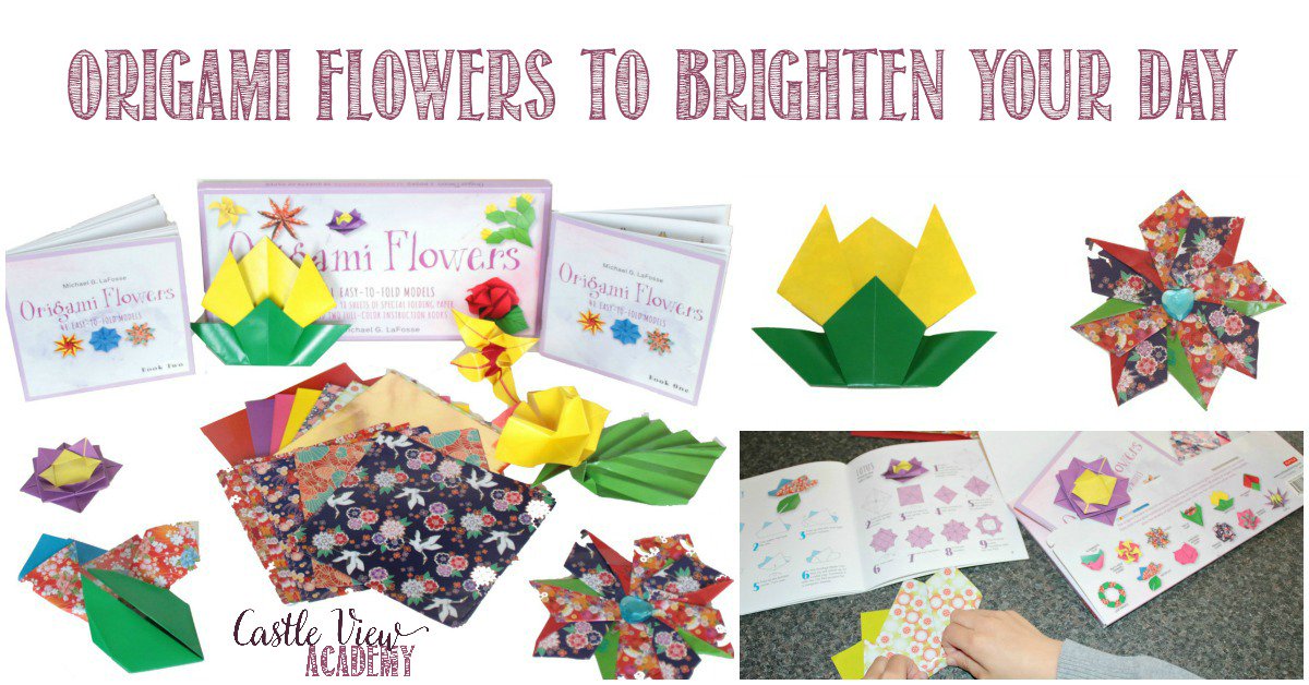 CCastleView's tweet photo. Fold some origami flowers to brighten a rainy day! Which one of these flowers from @tuttlebooks is your favourite?
https://t.co/vNwznbBsgU https://t.co/gs1dGPSdeU
