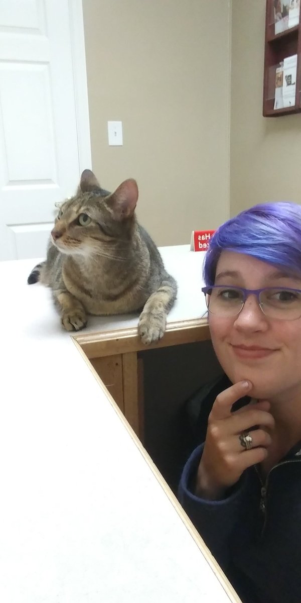 FlowerFaerie90's tweet photo. I think Oppie is mad at me for taking her to the vet. She need vaccines and a microchip. I feel so bad, but it has to get done. I just wish our vet was closer. It breaks my heart hearing her cry for 30 minutes. #BeHomeSoonIsh #ScientistCat https://t.co/jFdMbLoygr