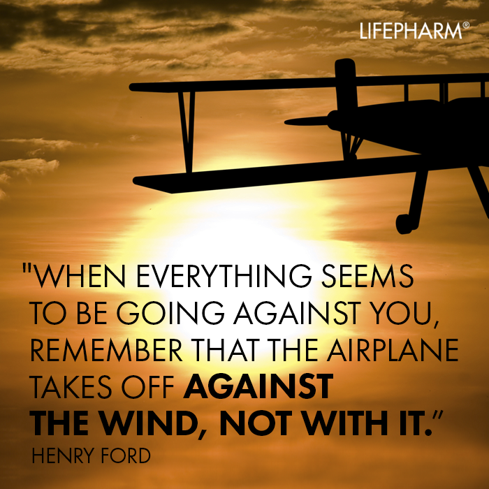 LPGlobalNetwork's tweet photo. Conquering obstacles along your journey leads to an even sweeter victory. #MondayMotivation #LifeObstacles #Determination https://t.co/vgTdvLlYTL