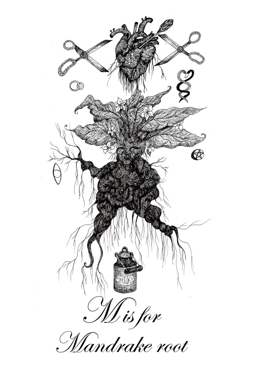 ChatsbyVictoria's tweet photo. #Misformandrake #mandrake #witches #witchesalphabet https://t.co/ZJa1GwNKzW https://t.co/mcxdAMZPDJ