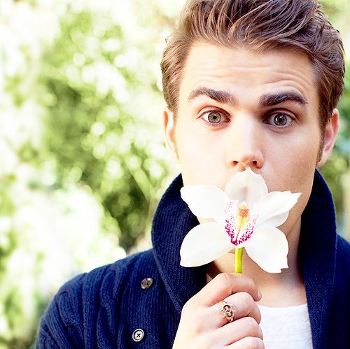 Happy Birthday, Paul Wesley! 