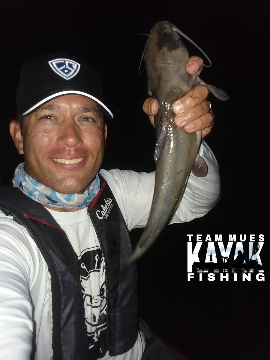 Kayak_Dizz's tweet photo. Still lookin for Moby! He's out there &amp; I'll find em.
My 10lb GodlineX8 hasn't let me down. It's smooth casting, has outstanding sensitivity, and stands up great to the forcefull pull of these watercats! #FISHINGSIRProStaff #OneMoreCast #FishingSir #drophook #Catfish #NGPC https://t.co/OcvOEIKbQJ