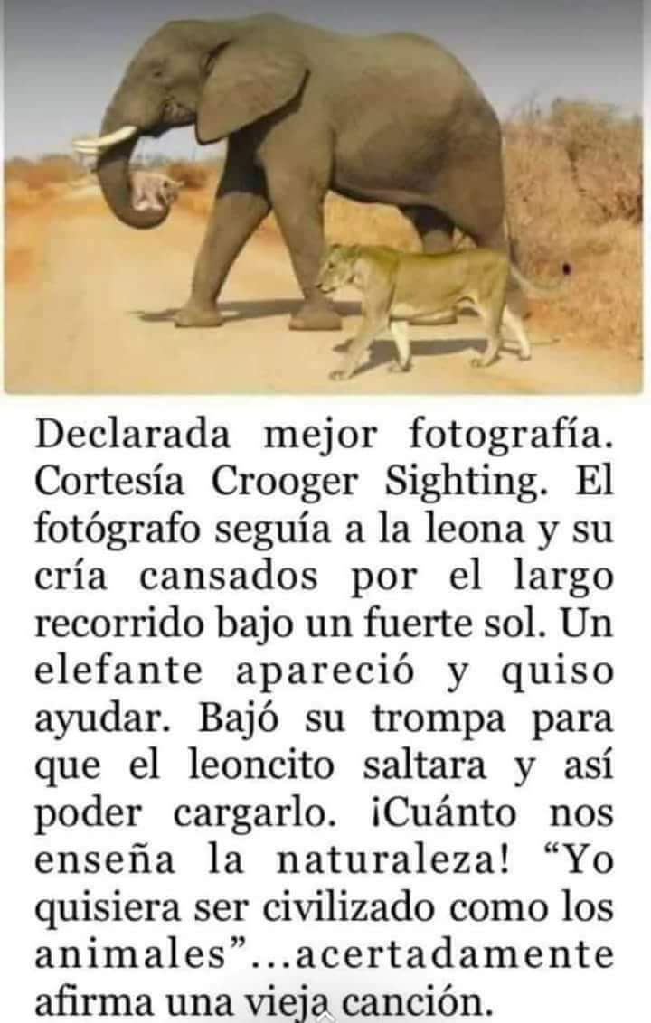 Soledad80072059's tweet photo. MARAVILLOSO https://t.co/X6hrt2045M