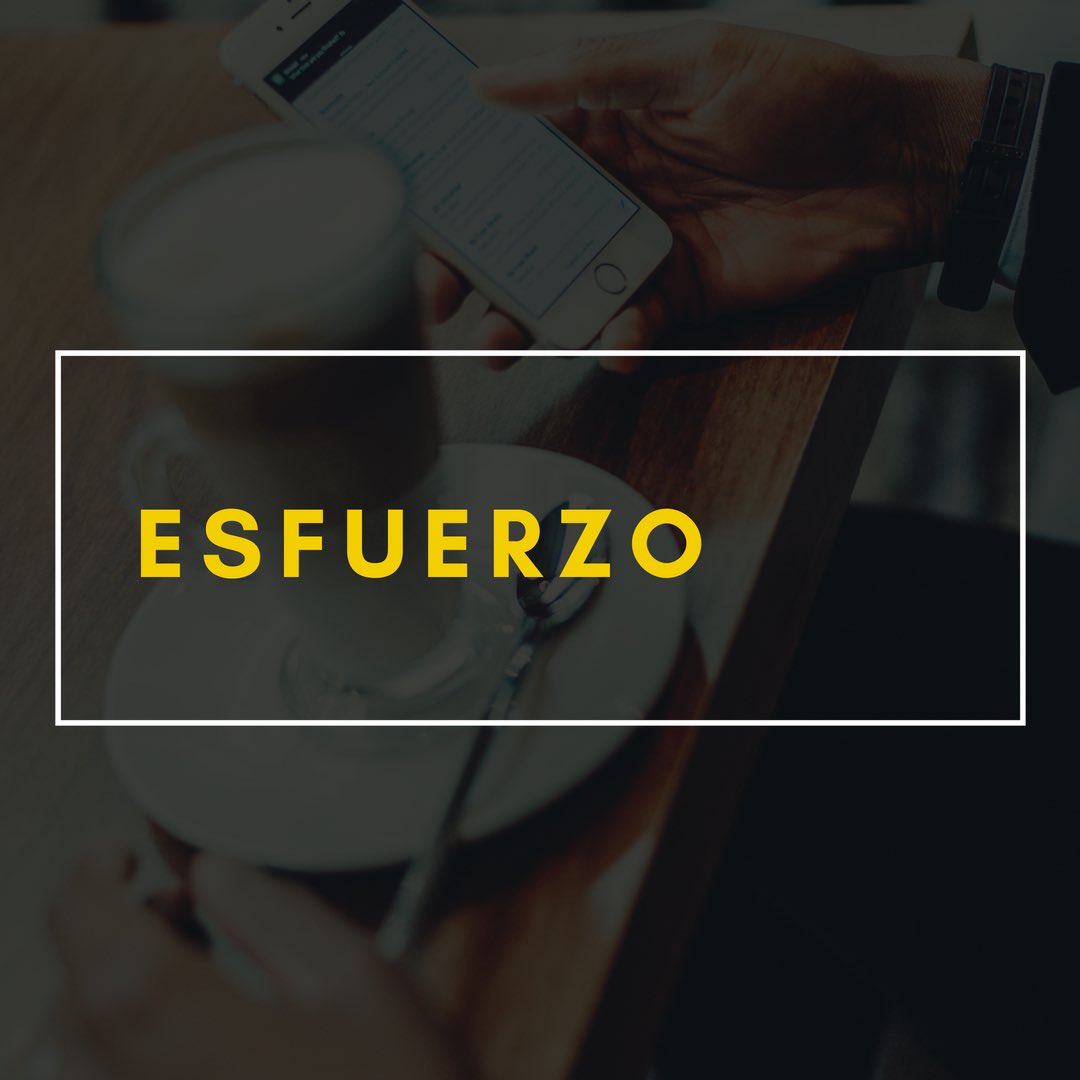 MXCreativo's tweet photo. Esfuerzo:

Para conseguir grandes resultados, el esfuerzo es indispensable.

Las grandes cosas suceden cuando te enfocas y te esfuerzas en aquello que realmente importa. #FelizLunes #Esfuerzo https://t.co/4bwTklXJRZ