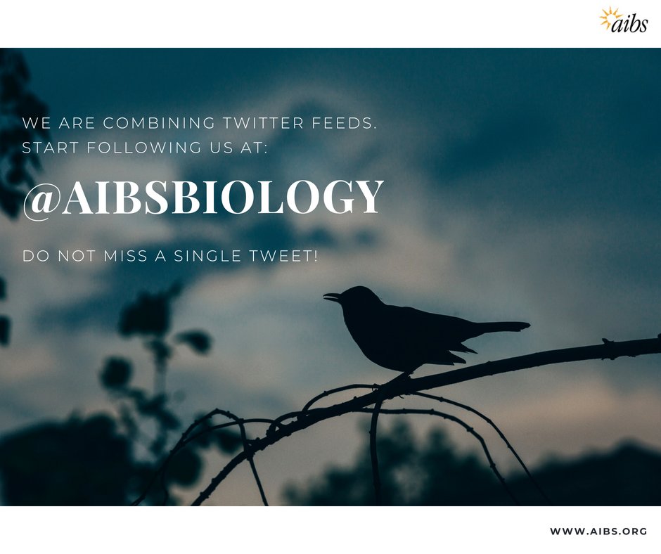 BioScienceAIBS's tweet image. Do not miss a single tweet!  We are #combiningfeeds and are moving to the main #AIBS Twitter account. Follow us now at @AIBSbiology    #peerreview #scientificreview #excitingnews #joinus #SPARS #bioscience #biology #excitingnews #joinus #sciencejournal #opensource #journal