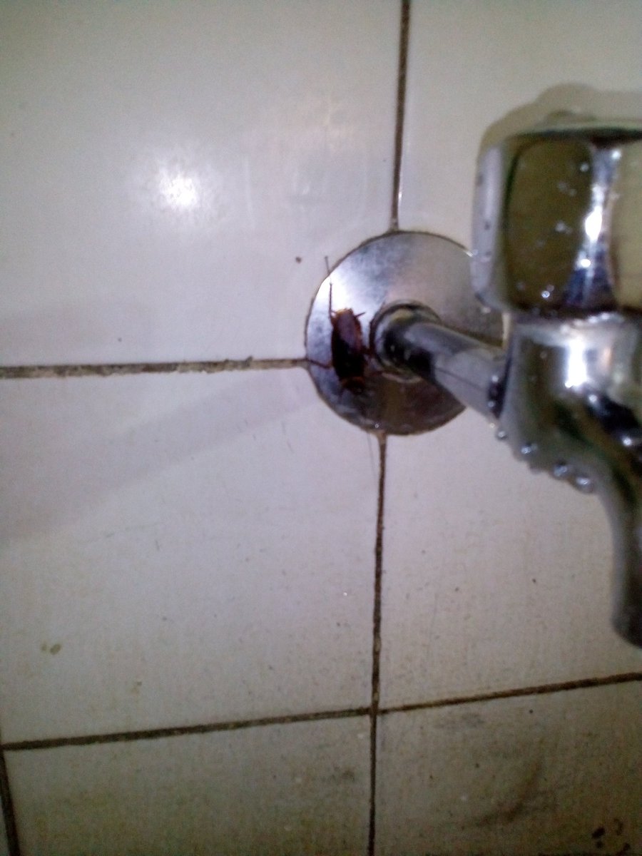 الحمدلله🌙رايحةأغسل إيدى لقيته عند الحنفيةتابعواالفديوالقادم ياسيسى عندك حنفيةبصرصارمثلى ولابمقياس لدرجة الحرارة