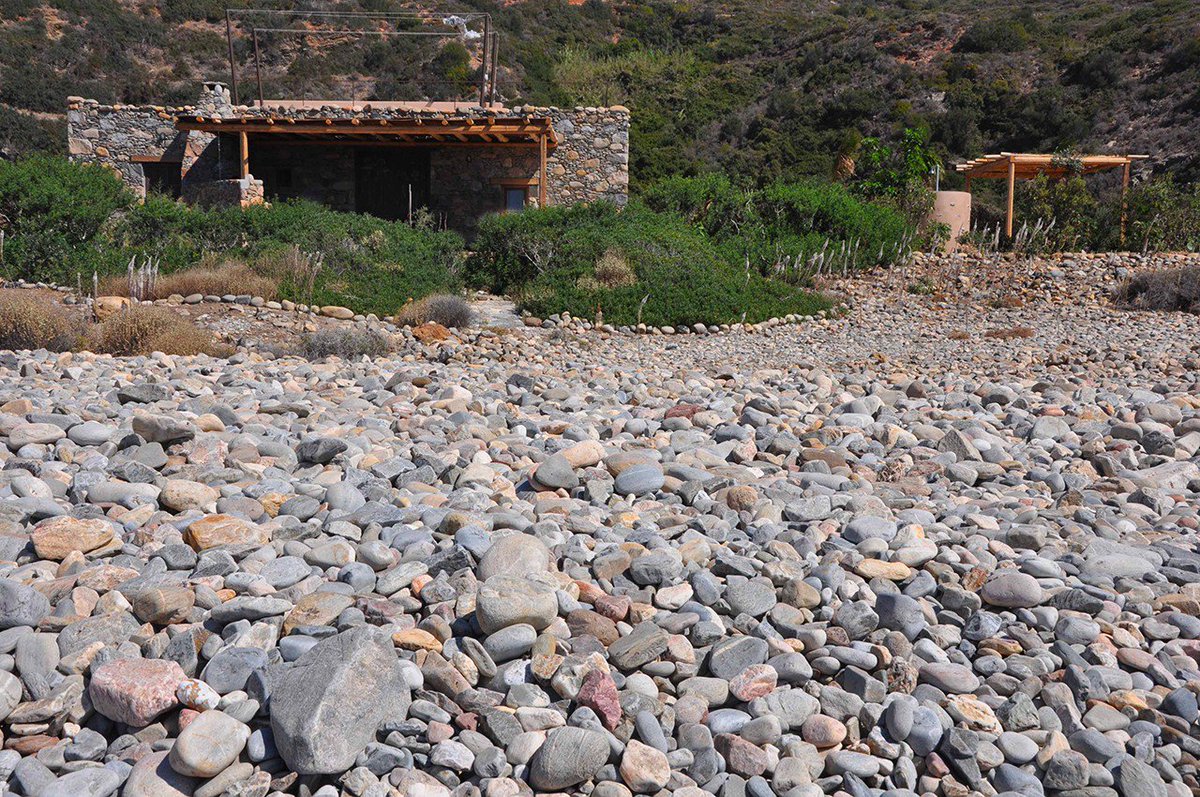 DRS and Associates tweet media