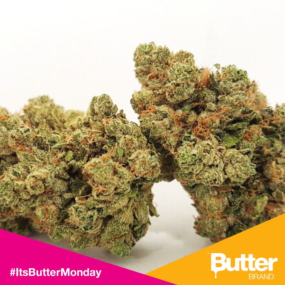 Butterbrand's tweet photo. Have you tried our #ButterOG?
Our signature strain that we’ve diligently perfected over the course of many years. This incredibly potent strain possesses an unmistakable flavor that combines a sweet, pine-citrus sensation mixed with earthy and woody undertones. #ItsButterMonday https://t.co/Ya7ekCaAzW