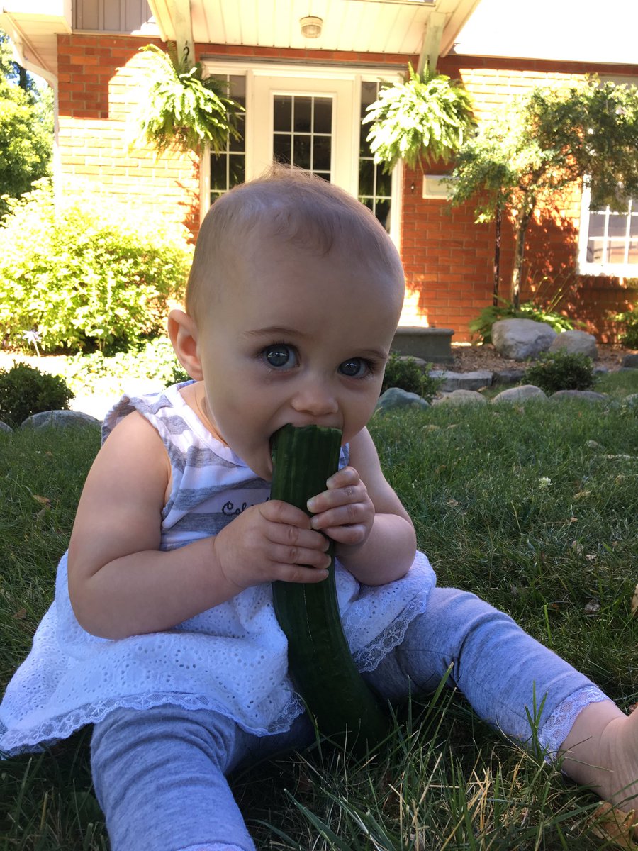 ReimerMark's tweet image. Enjoying a ⁦@GLGreenhouse⁩ cucumber on a beautiful summer day!!