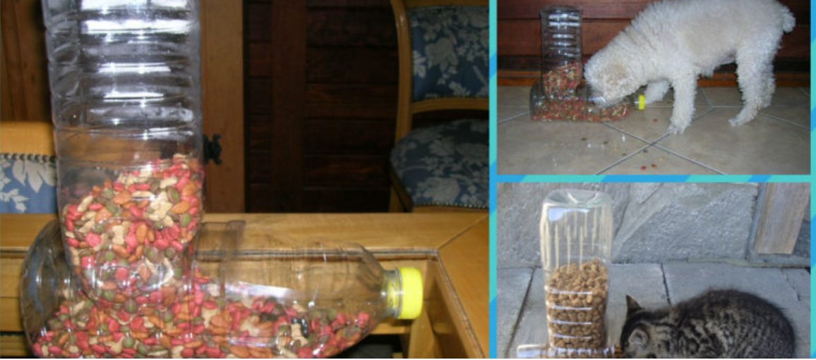 FAÇA AGORA mesmo O COMEDEURO DO SEU PET, SIMPLES E FÁCIL. 👍👍😁

Minha Mãe Ama Gatos 2017
goo.gl/Ry9otQ