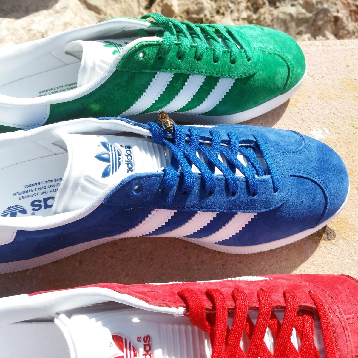 Spartoo_nl's tweet photo. Deze bij is zoals wij: zij houdt van kleuren! #adidasOriginals 🐝
 Groen model ➤https://t.co/tNIhzNzG5U
 Blauw model ➤https://t.co/CLzkCBThnR
 Rood model ➤https://t.co/BxRjshnh7n https://t.co/nygQuPEd8m