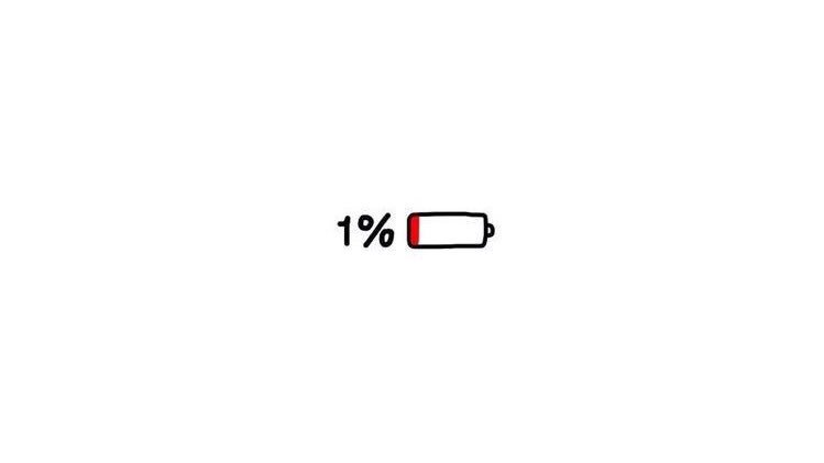 แซลม่อนพู ☼ tweet media