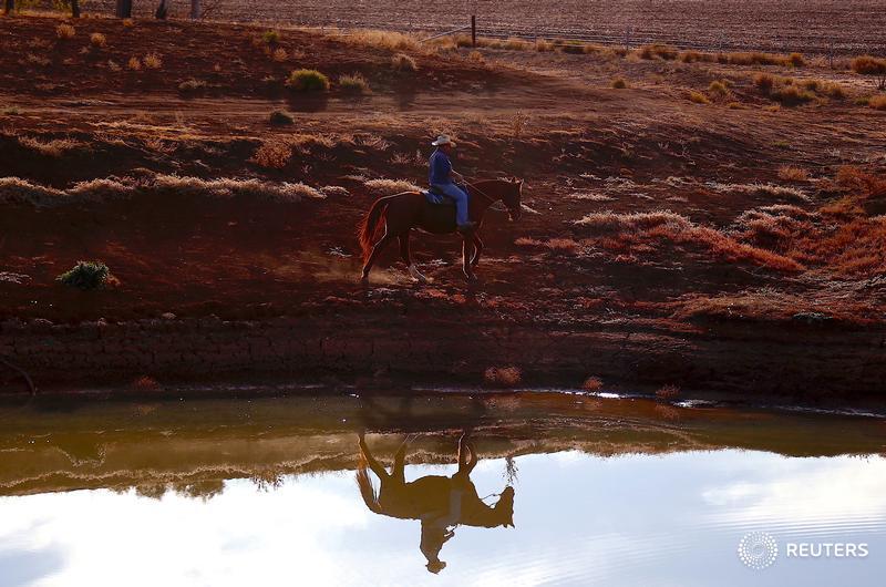 Farmer Scott Cooper is reflected in a dam as he rides his horse on his drought-affected property named 'Nundah' on the outskirts of Gunnedah, Australia