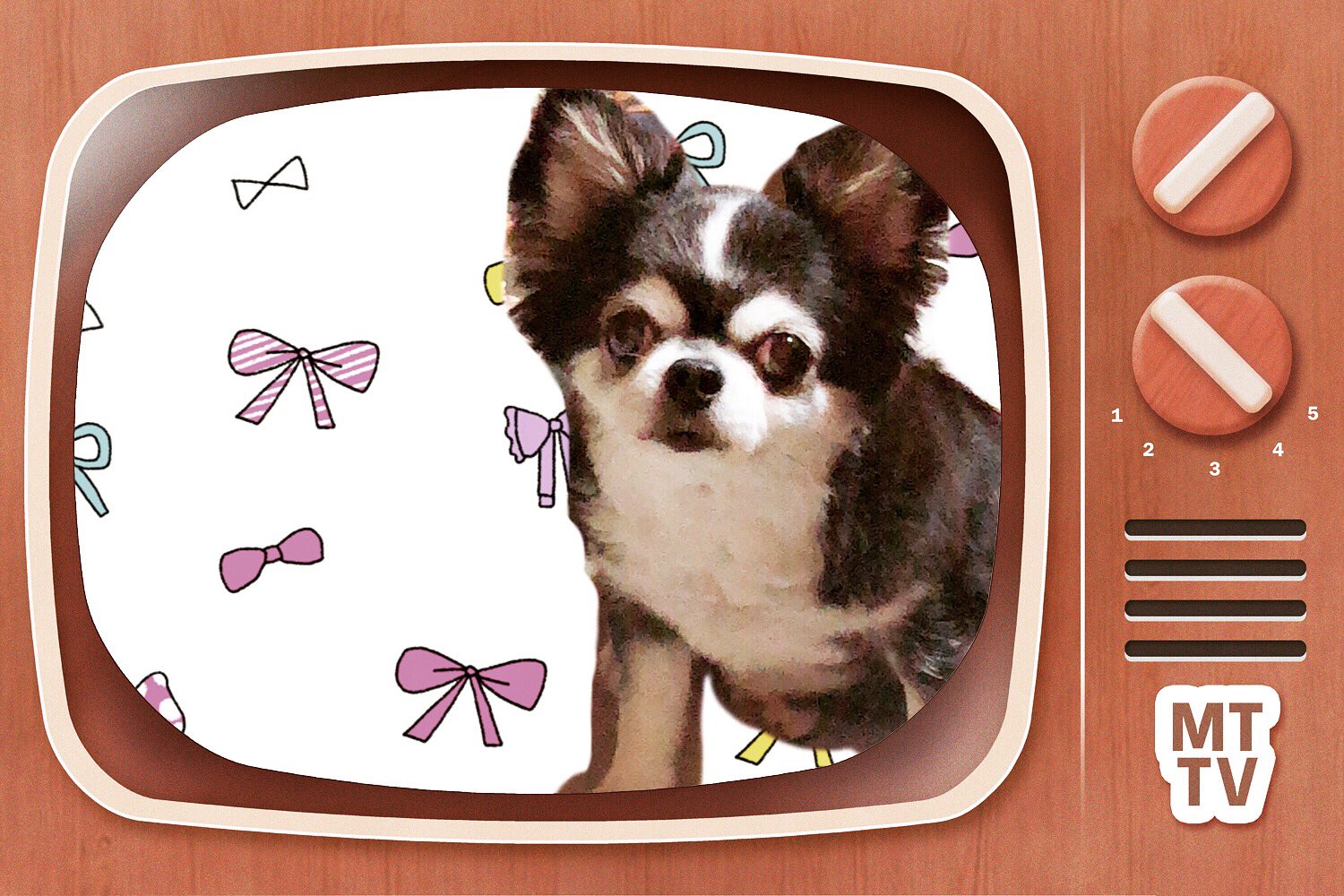 ブス犬 Twitter Search Twitter