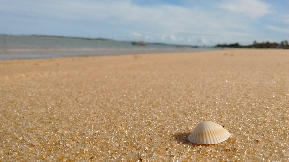 funbio's tweet photo. Projeto GEF Mar abre inscrições para 12 bolsas de pesquisa. Para os interessados: https://t.co/6tiKIEhCsA
Foto: Resex Cassurubá, por Mayne Assunção /Funbio
#bolsasdepesquisa #bolsas #GEFMar #conservandoofuturo #funbio22 #funbio #cassuruba #bahia #pesquisa #biodiversidade https://t.co/sHSJjaNKeT