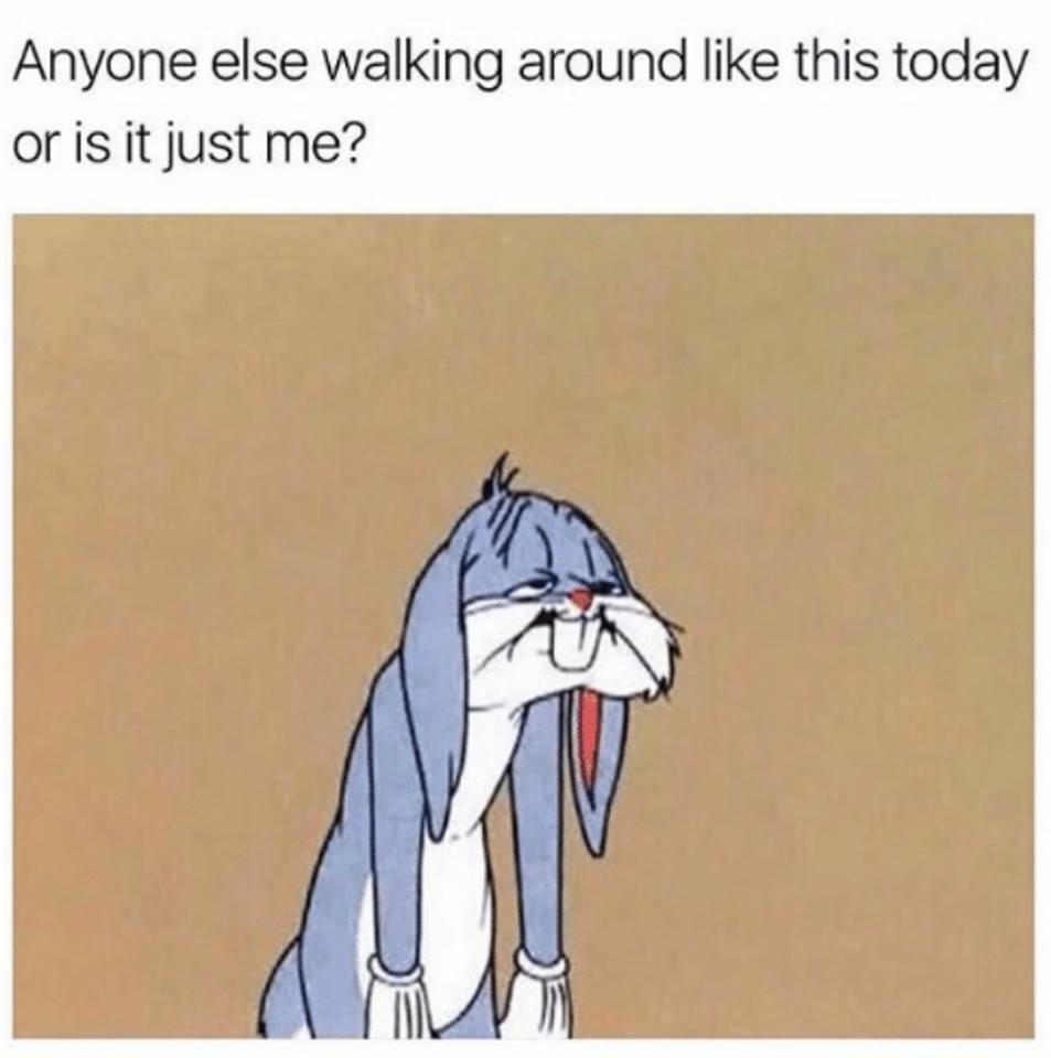 CoopersmithSon's tweet photo. happy #Monday.. #MondayBlues #MondayMotivation https://t.co/sQjnZst3sI