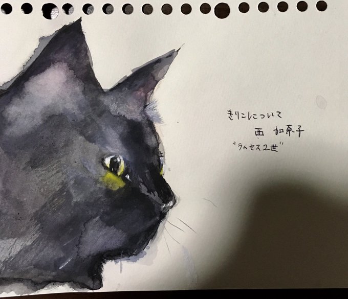 きりこについてのtwitterイラスト検索結果 きりこについてのtwitterイラスト検索結果