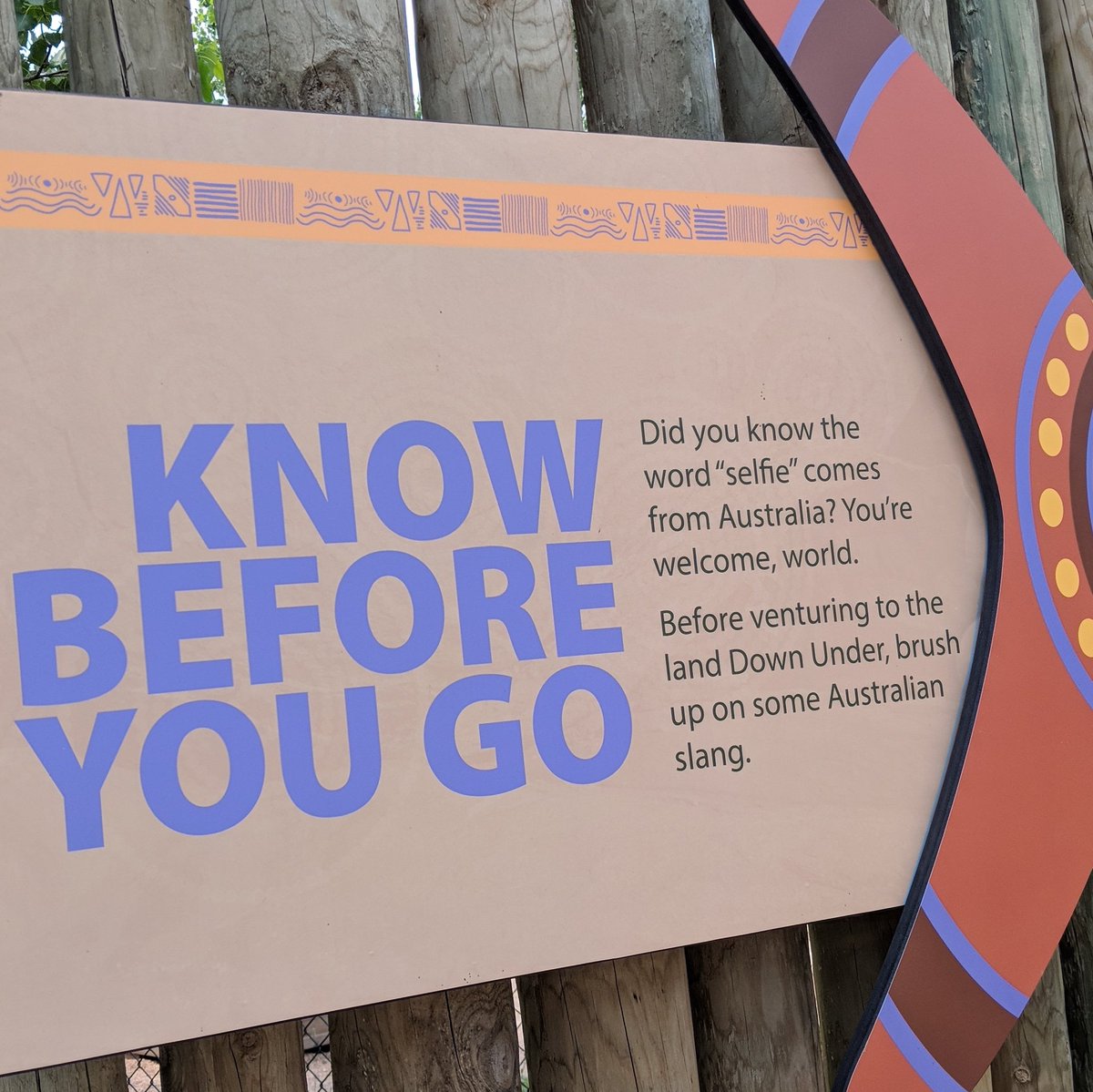 SkolMarketing's tweet photo. Did you know that the word "selfie" comes from Australia!? 🤳🇦🇺

#themoreyouknow #didyouknow #selfie #selfiefacts #australia #selfies #selfienation #digitalmarketing #funfacts #marketingmonday #marketing https://t.co/kKfhgt3JYp