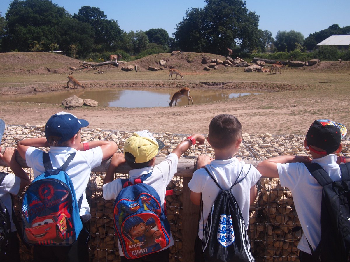 stgac1's tweet photo. 2/3 Photos of my group from our trip last month to Yorkshire Wildlife Park. What a great day we all had! https://t.co/tJU0rSk5gA