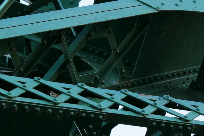 鉄骨のtwitterイラスト検索結果 古い順