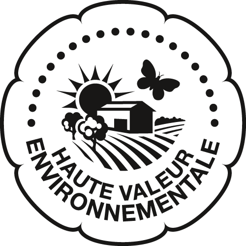 ChtDuTaillan's tweet photo. Le Château du Taillan est désormais titulaire de la certification HVE (Haute Valeur Environnementale) ! 🍇♻️🍷
#hve #certificationenvironnementale https://t.co/lH60Vx0wYq
