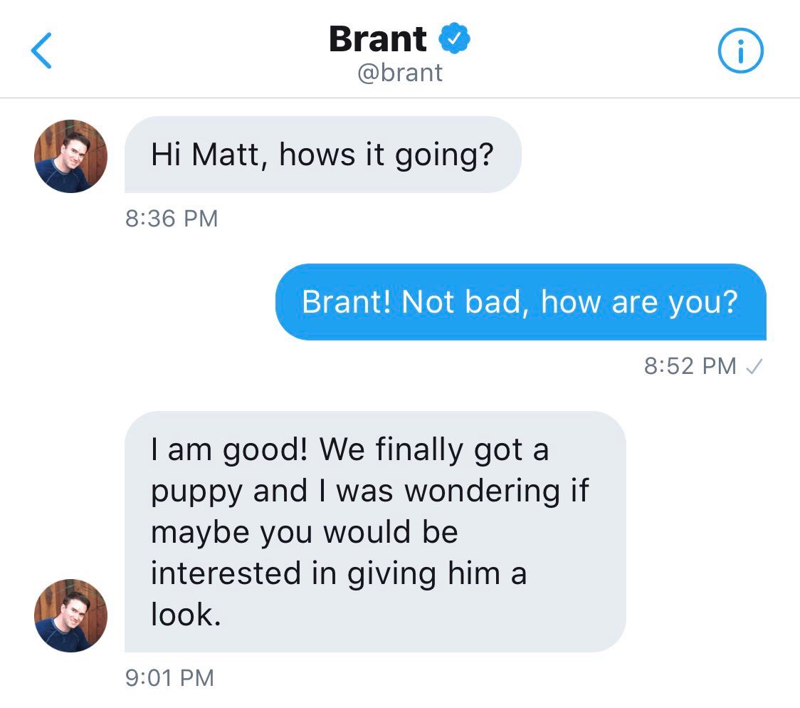 dog_rates's tweet image. Folks... we have come full circle. This is Charlie, dog of Brant. He naps in a pineapple and really likes french fries. 14/10 you’ve got a good dog, Brent