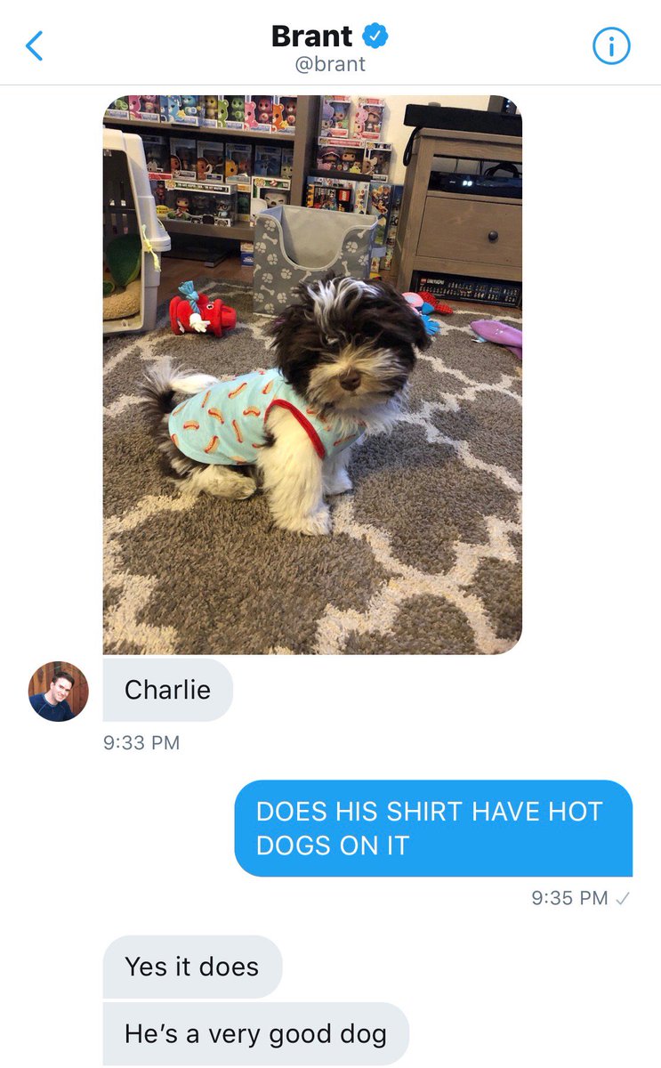 dog_rates's tweet image. Folks... we have come full circle. This is Charlie, dog of Brant. He naps in a pineapple and really likes french fries. 14/10 you’ve got a good dog, Brent