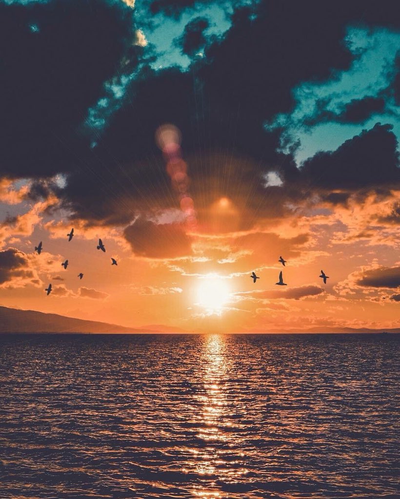 TFtrips's tweet image. Sunset 🌅