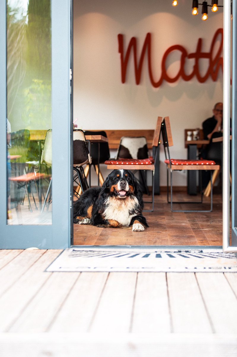 chrisramsay52's tweet image. THE MAGIC OF GERMANY! Just dropped a new VLOG. Met some German fans and they showed me some incredible magic! Check it out! #aufwiedersehen 

youtu.be/f05fU14TgZ0