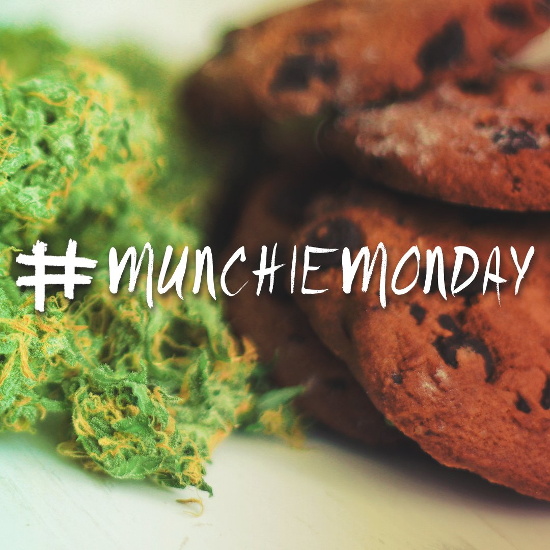 MMJ America tweet media
