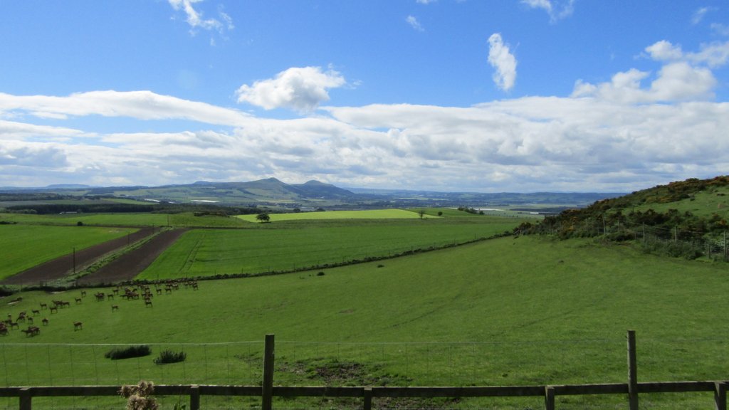 Stagison tweet media