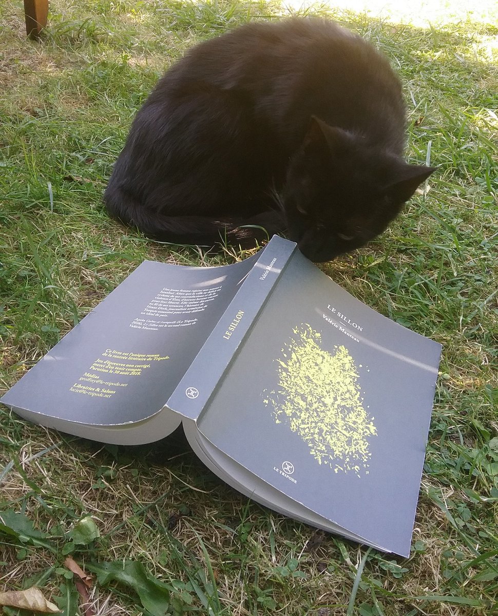 On comprend pourquoi les éditions Le Tripode ne publieront qu'un seul livre à la rentrée.  Le Sillon, de Valérie Manteau est tout simplement bouleversant et magnifique. 
#bouleversant #istanbul #insolite #rentréelitteraire
<a href="/Le_Tripode/">éditions Le Tripode</a>