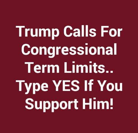 Trump pushes for for congressional term limits.

RT If you support him!