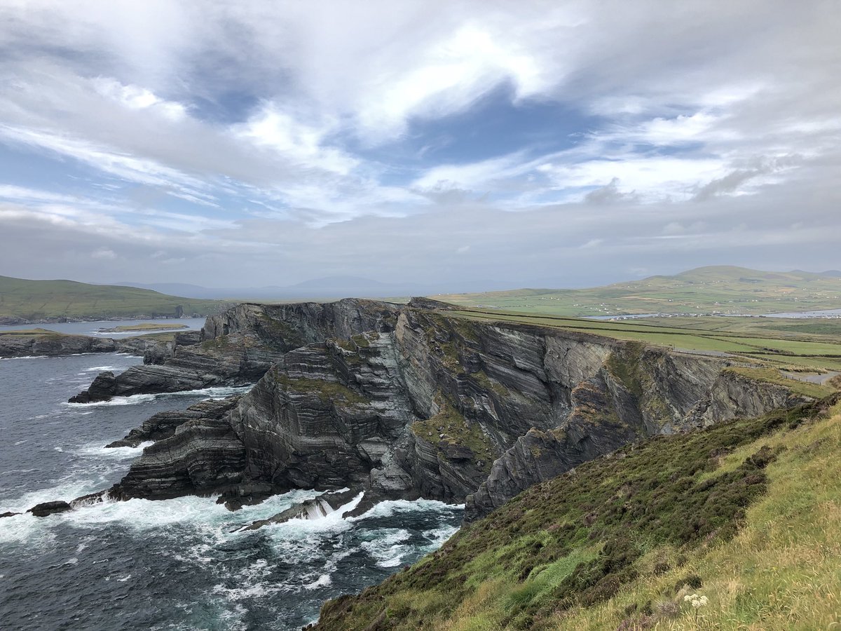 RM Xpost tweet media