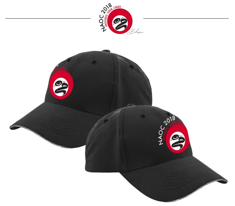 Try volunteering at NAOCs! Volunteers with 10+ hours will receive a cap from Coast Mountain Sport. All volunteers will be eligible for draw prizes including glass water bottles and microfiber sport towels with Lepine's design. 

Apply today at yukonorienteering.ca/naoc2018/volun…