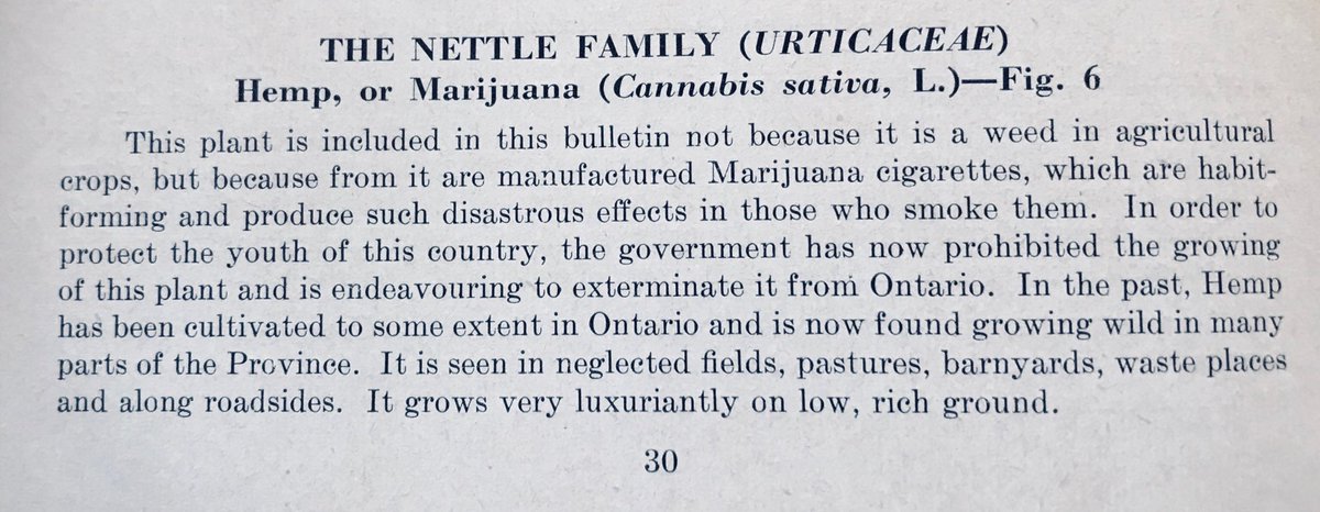 Colonel_By's tweet image. MARIJUANA / HEMP / CANNABIS / WEED — The times they are a-Changin’ (Bob Dylan, 1964)

The extract below is from the 1948 bulletin “THE WEEDS OF ONTARIO”. 

No further comment is necessary, except to say that today’s Marijuana is reportedly far more potent than it was in 1948 !