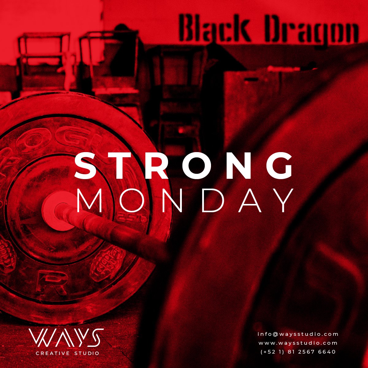 ways_studio's tweet photo. #StrongMonday💪💪🏋️♀️🏋️♂️👍
#InicioDeSemana #WaysForSports #DesignForSports #Lunes #FelizLunes #CrossTraining #FuntionalTraining #Barbell #Gym #Training #Sports https://t.co/dYNkvIrjsT