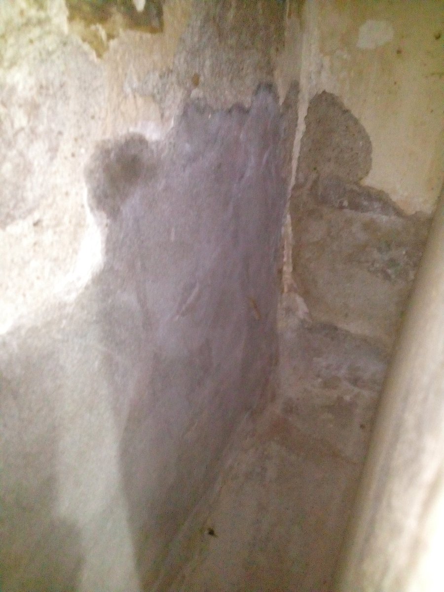 الحمدلله🌙هنايوجدبرص صح كيف أموته البيت أهمل يهمل هبط ريح فلق خرب أريد شقةفى أكتوبرإيجارمعقول اللهم ارحمنا وأنصرنا