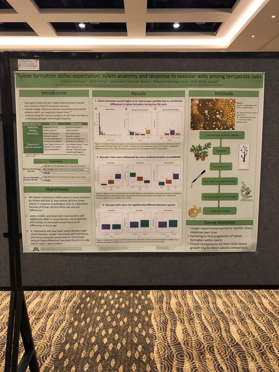 botanythoughts's tweet photo. Keep your eyes peeled for a big green poster! #Botany2018 https://t.co/CNlPhXcIw7