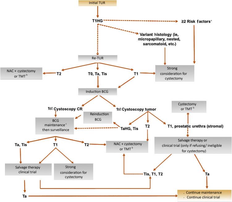European Urology (@euplatinum) on Twitter photo Treatment Strategy for Newly Diagnosed T1 High-grade Bladder Urothelial Carcinoma: New Insights and Updated Recommendations buff.ly/2uypPNL <a href="/zklaassen_md/">Zach Klaassen</a> et al Treatment Strategy for Newly Diagnosed T1 High-grade Bladder Urothelial Carcinoma: New Insights and Updated Recommendations buff.ly/2uypPNL <a href="/zklaassen_md/">Zach Klaassen</a> et al