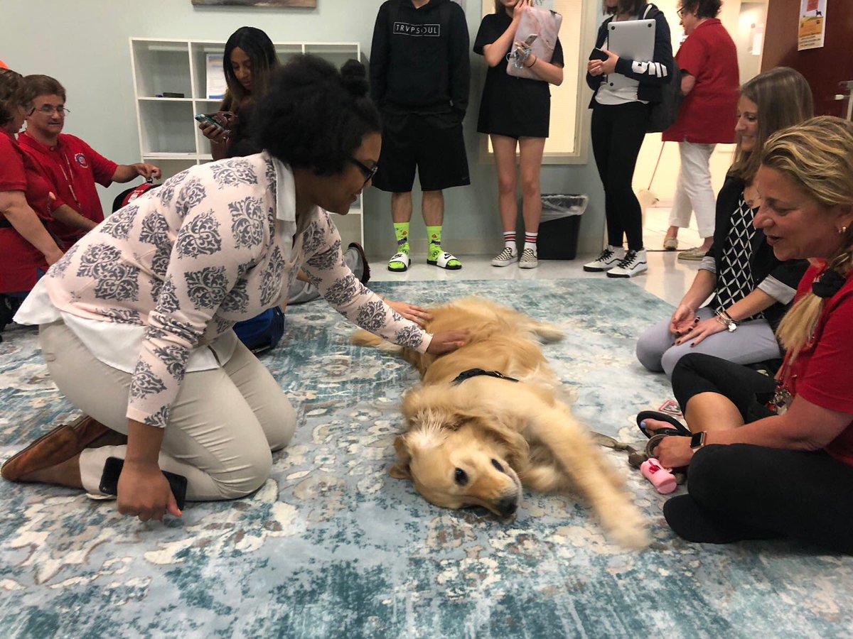 Robmiller4444's tweet photo. @BerkeleyCollege A fantastic event at the White Plains Campus today. De-Stress with Dogs. #destresswithdogs #studentsuccess #berkeleycollege https://t.co/IWzVChVlqW