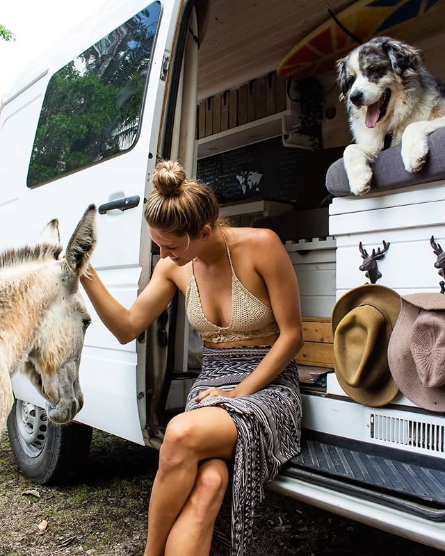 coolcampervans's tweet photo. Couldn't help but share this post from @vantacruz_ - It's amazing who you can bump into on the road. ✌🏼🌎🚐💨
Did you know we have instagram? https://t.co/YoURo3bANm
Follow CoolCampervans on there for amazing campervans 🚙 and vanlife inspiration. https://t.co/i7lTu1pbVP