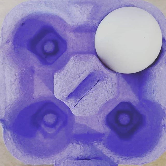 Før helgen flyttet fire fine frøkner opp på @takformaten. Eggproduksjonen er i gang! #nabolagshager #takformaten #byhøns #urbantlandbruk #miljøhovedstaden2019 #spirendeoslo ift.tt/2mD9Slb