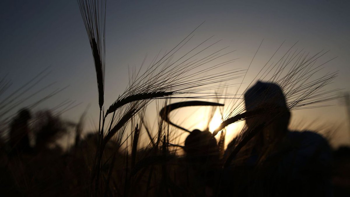 Vetitude's tweet image. 30% des #agriculteurs #wallons sont en burn-out: "On travaille plus pour gagner moins" buff.ly/2LbDyEu