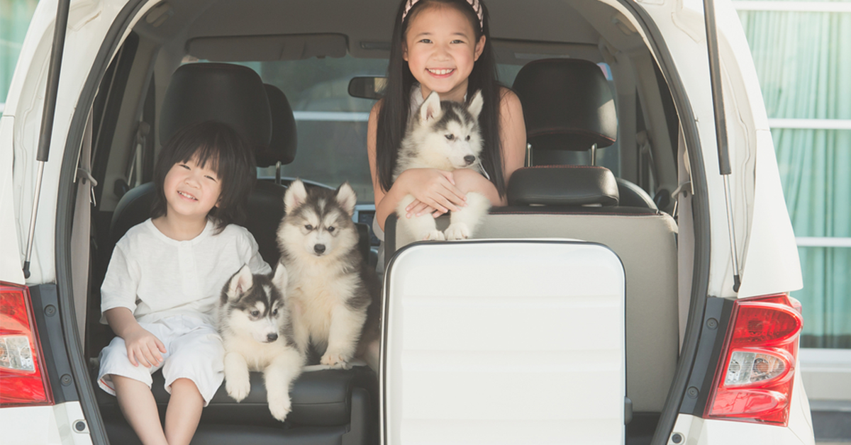 TocoWarranty's tweet photo. Does your car feel like a sauna on hot summer days? Help your air conditioner work more efficiently by using the "fresh air" setting on low humidity days and the "recirculate" setting on high humidity days. #CarTips https://t.co/k2SLvCO7Jk